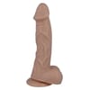  . 271 Mr intense 26 22 cm  2 . 