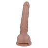  . 271 Mr intense 12 pene realistico 18.2 cm 6 . 