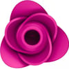  . Pro 2 Modern Blossom 0 . 