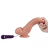  . Vibrador Realista Control Remoto Duke Lungton 22.5 cm 1 . 