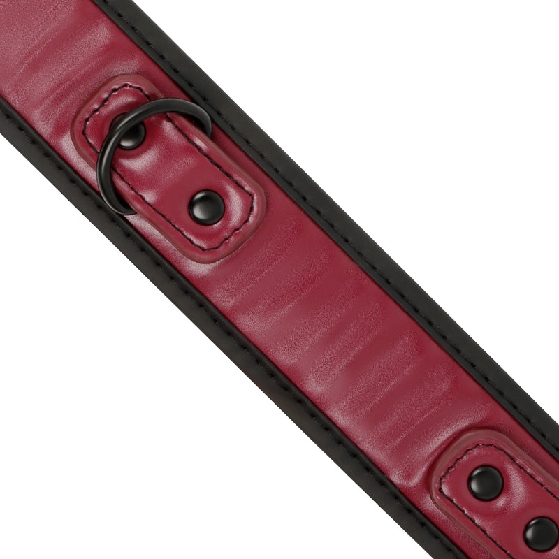 Collar con agarradera Rojo 0