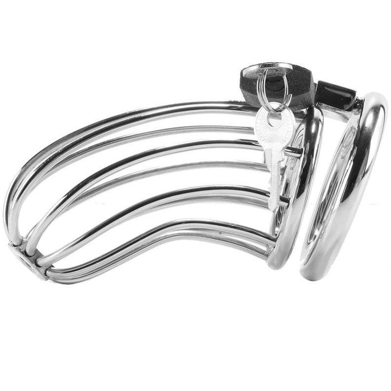 Jaula anillo castidad Bird - Metal Hard - Kits para BDSM