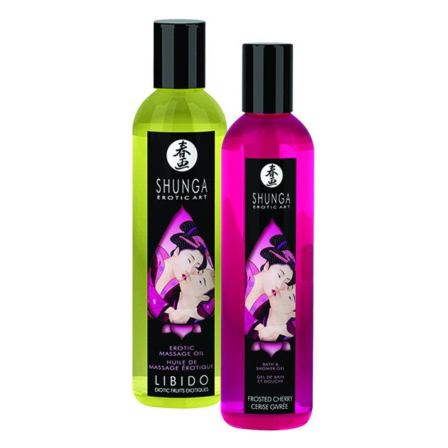 Shunga Touch Of Romance 1