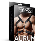 Arnés Pecho Masculino Aurum - Intoyou - Lencería sexy para hombre (3)