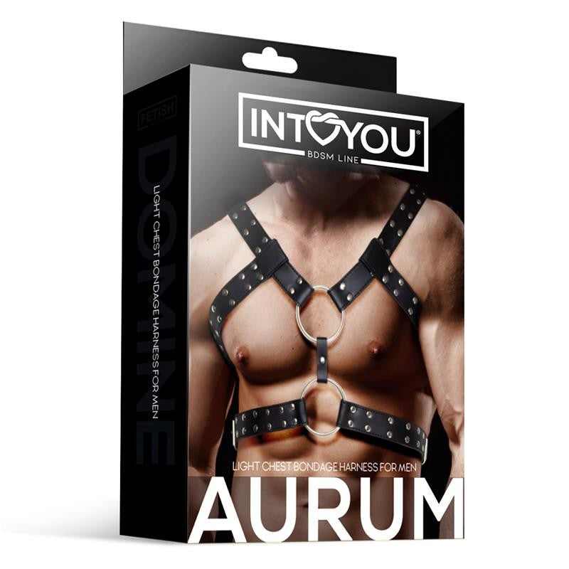 Arnés Pecho Masculino Aurum - Intoyou - Lencería sexy para hombre (3)