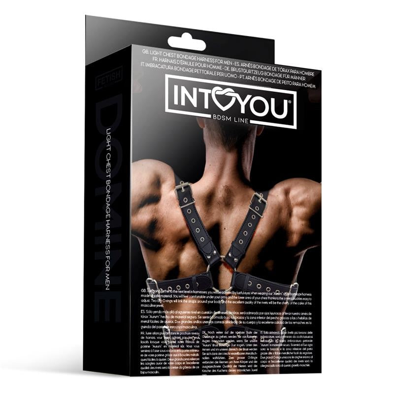 Arnés Pecho Masculino Aurum - Intoyou - Lencería sexy para hombre (4)