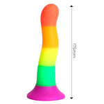 Dildo Arcoiris 18 cm - ENGILY ROSS - Dildos o Consoladores (4)