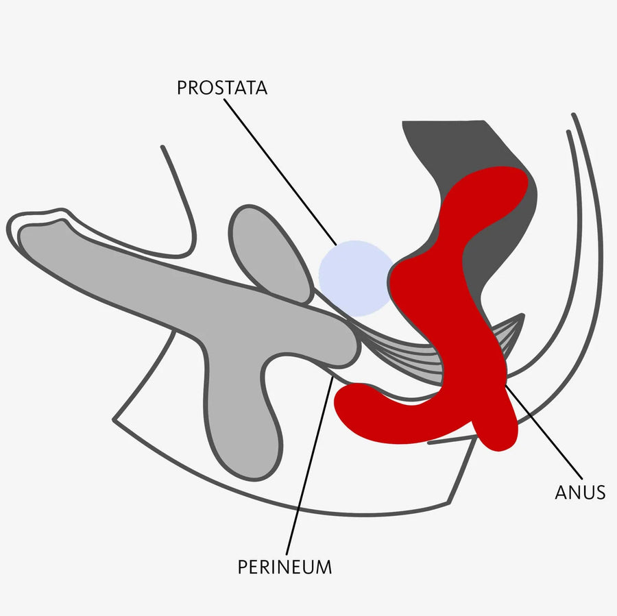 Vibrador Prostático Duke Black - Fun Factory - Vibradores masculinos para el masaje prostático (4)