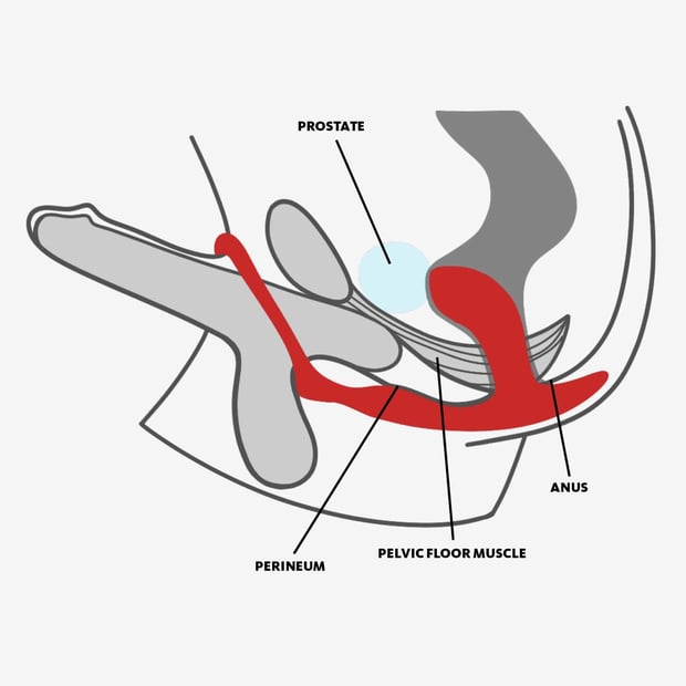 Bootie Ring Plug Anal 0
