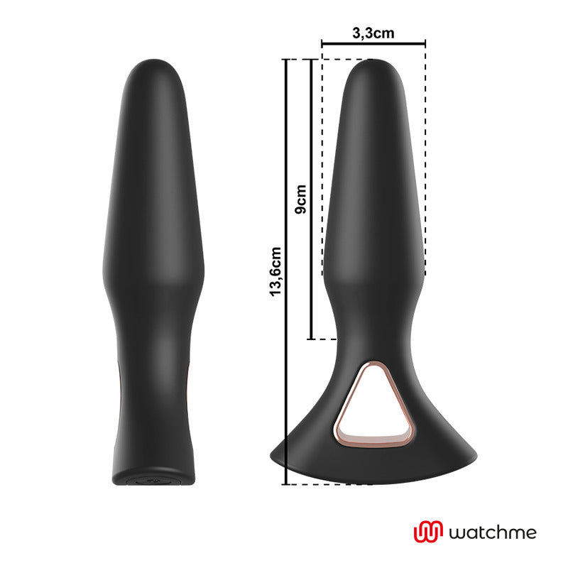 Vibrador Anal Alexandru Control WatchMe - Anbiguo - Plugs anales (2)