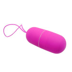 Arvin control remoto - PrettyLove - Vibradores (3)