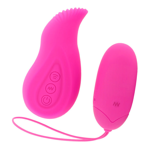Edgar control remoto - Moressa - Vibradores