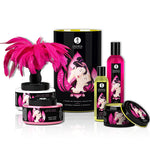 Shunga Touch Of Romance 0