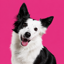 Retrato de Lexi para CondonesMix
