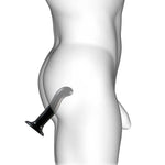 0226.jpg_product